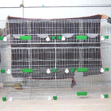 Cage à pigeon en métal d&#39;élevage amovible soudée galvanisée de type H avec roues à vendre